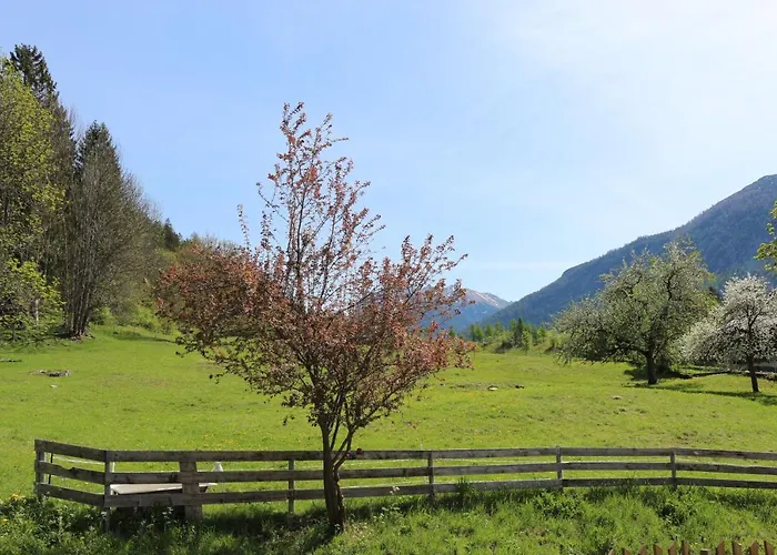 Apartamento Haus Monteiro